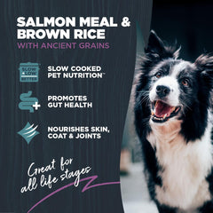 Blackwood cuisson lente en petites portions, saveur riche que les chiens apprécient.