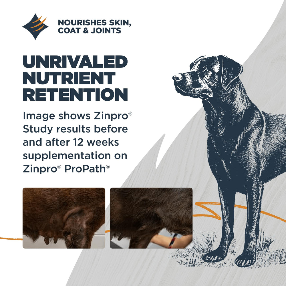 Prébiotiques et probiotiques soutenant la digestion