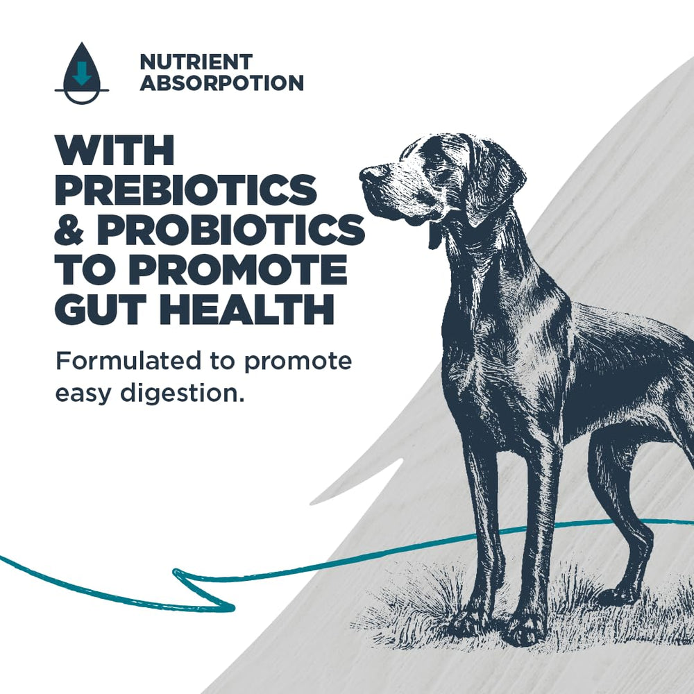 Prébiotiques et probiotiques soutiennent une digestion facile.
