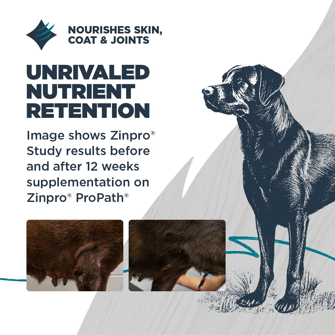 ProPath minéraux de Zinpro pour digestion et peau saine.