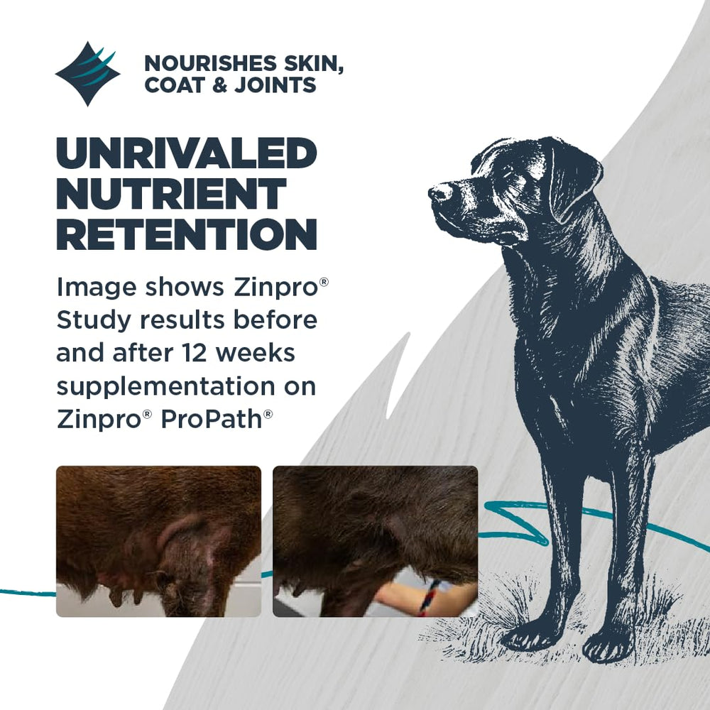 ProPath minéraux de Zinpro pour digestion et peau saine.