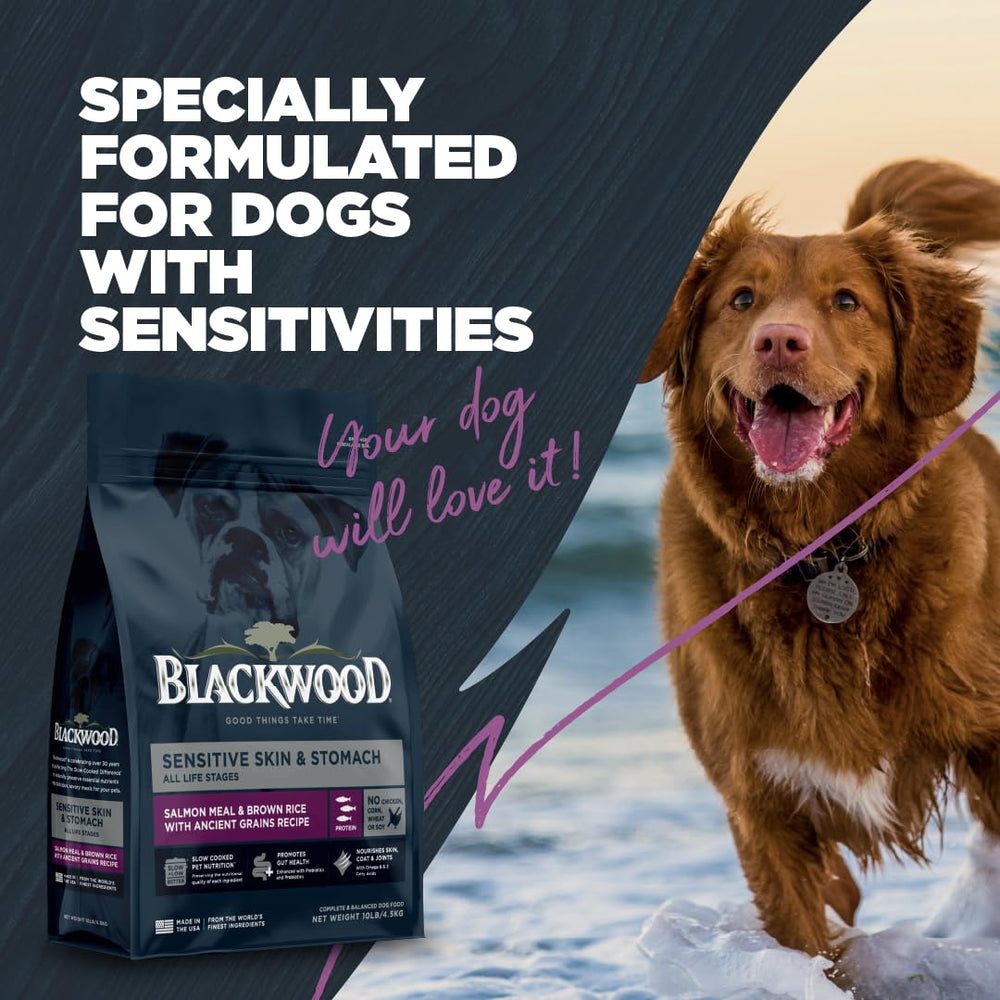Blackwood saumon et riz brun, grains anciens, nutrition équilibrée.