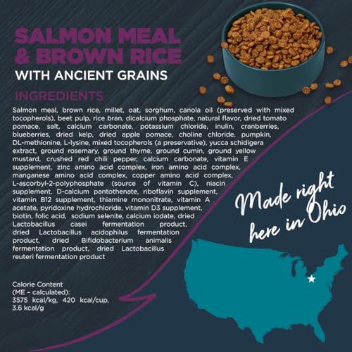 Produit Blackwood avec Zinpro ProPath, minéraux pour digestion et immunité.