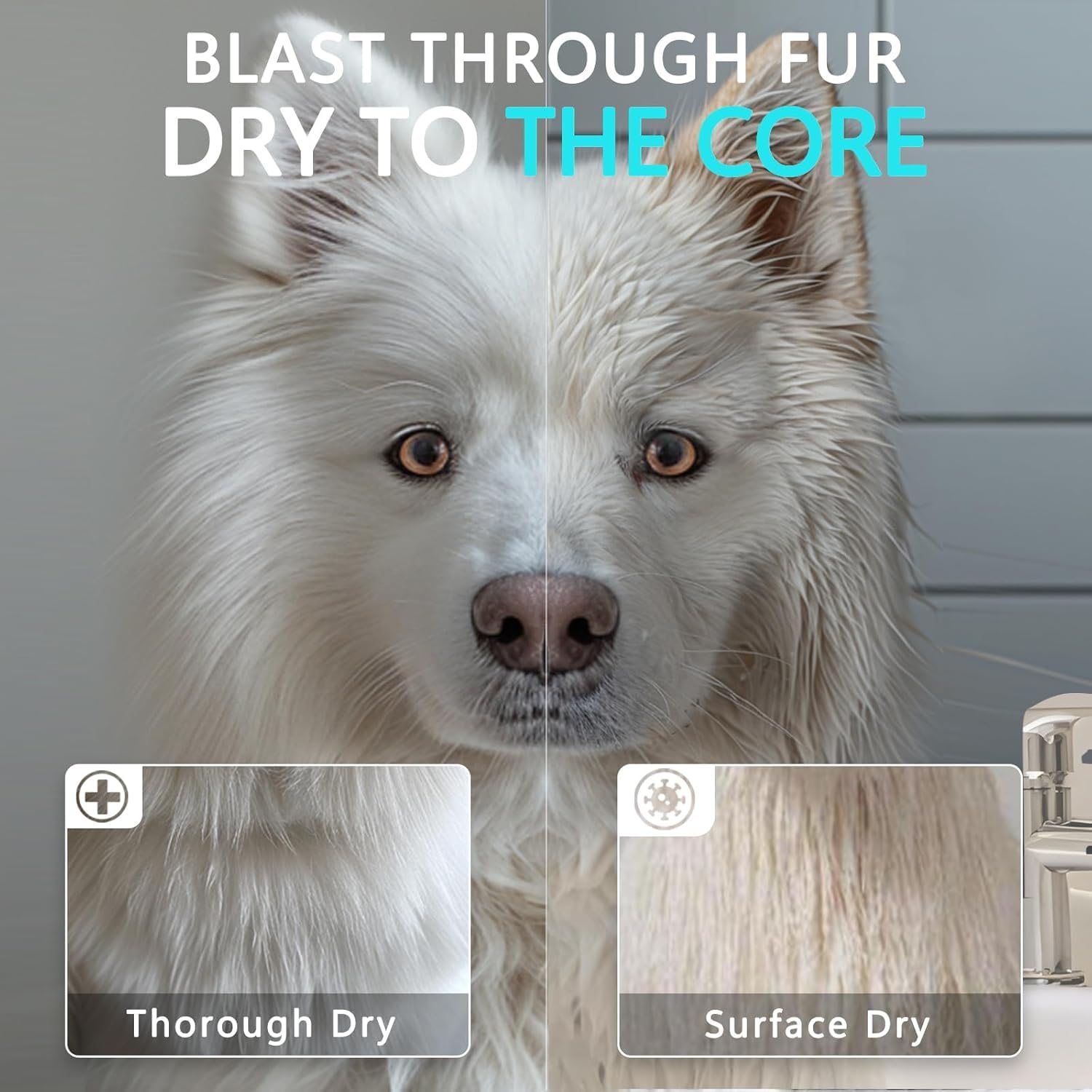 Blanlody design silencieux, réduction du stress lors du toilettage.