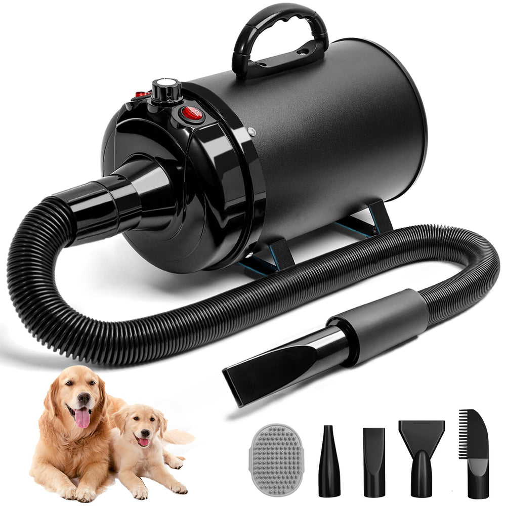 Blanlody secheur chien haute vitesse 3800W pour un séchage rapide et efficace.
