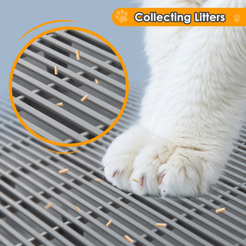 Blata – rampe accessible pour chaton et chat âgé, facilité d'accès.