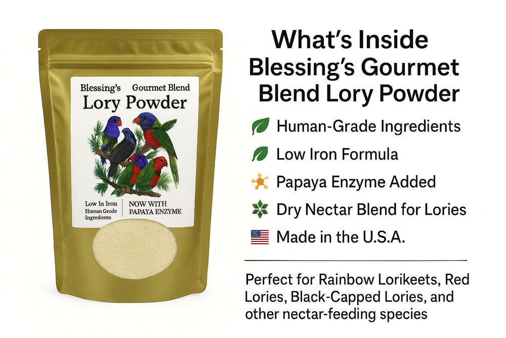 Blessings Gourmet Lory - bol prêt à servir et goût apprécié par les oiseaux.