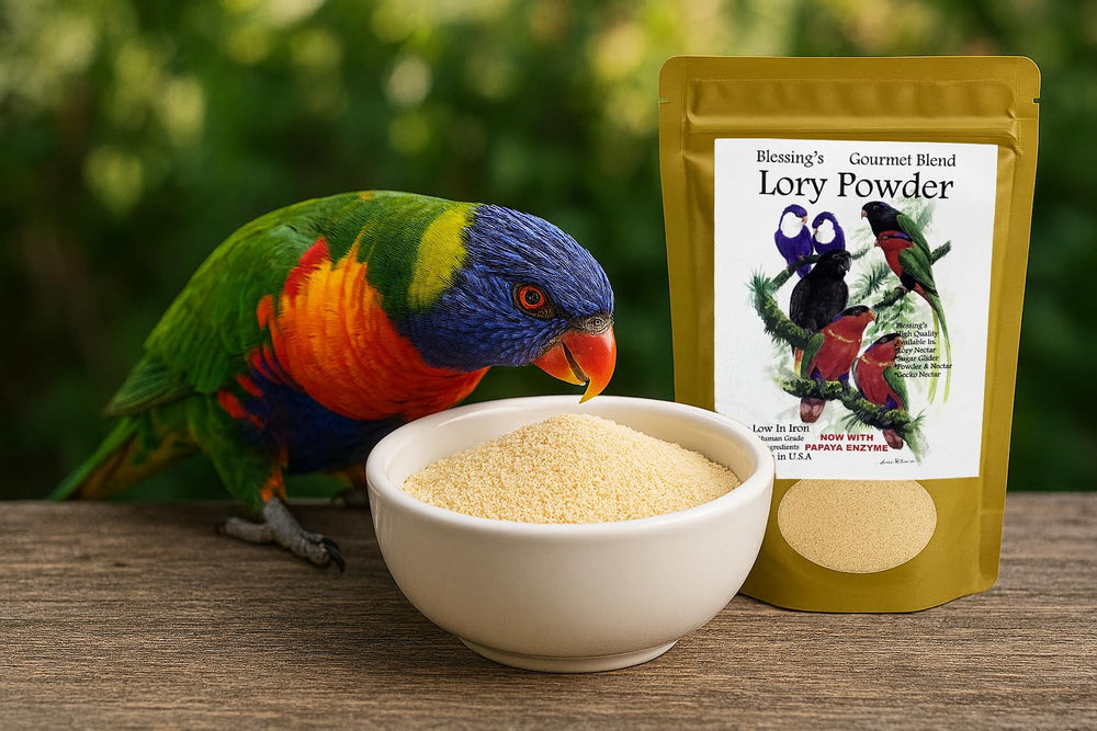 Blessings Gourmet Lory - enrichi au quinoa pour une base nutritionnelle variée.