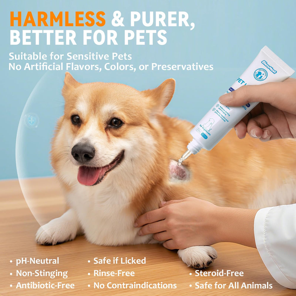 BlessMeet Gel – Formule hypochloreuse purifiée, sûre si ingérée.