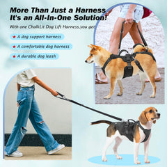 Harnais Blinlit – poignée ergonomique pour une prise en main confortable lors des transferts.