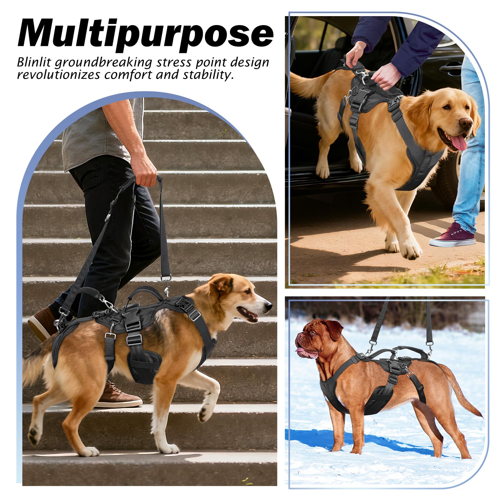 Harnais Blinlit – soutien arrière et corps entier pour chiens âgés ou arthritiques.