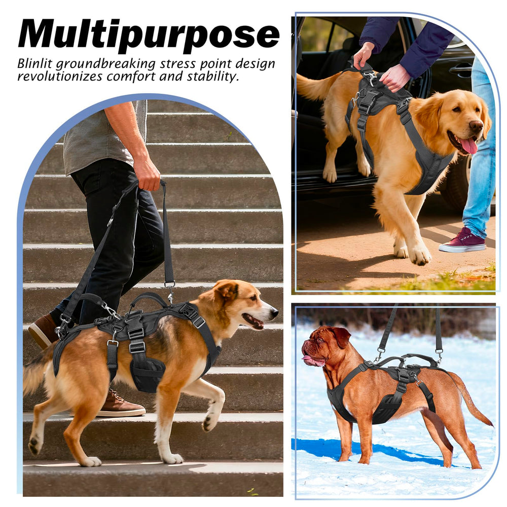 Soutien arrière et corps complet Blinlit pour chiens à mobilité réduite.