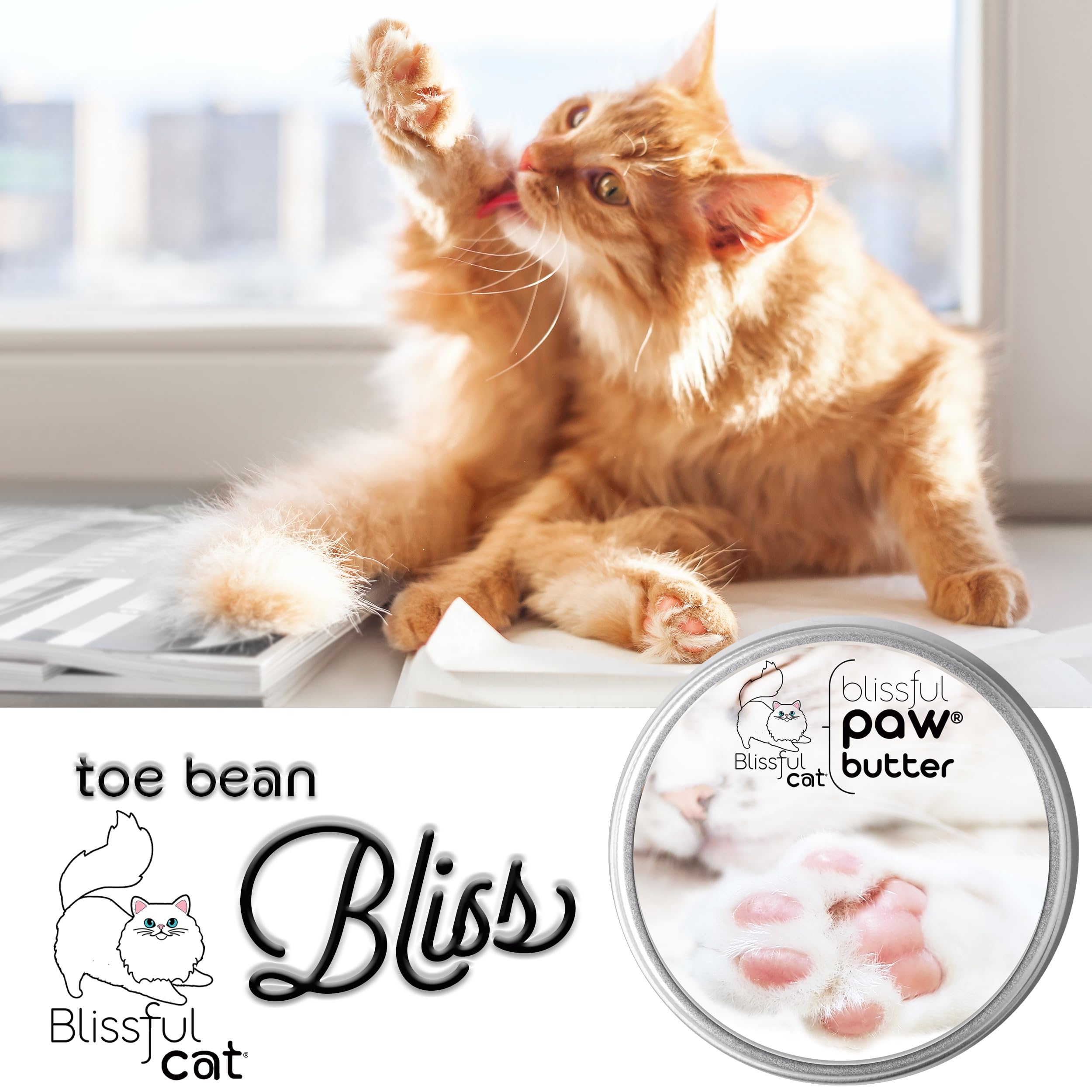 The Blissful Cat Paw Butter - application facile pour patte chat.