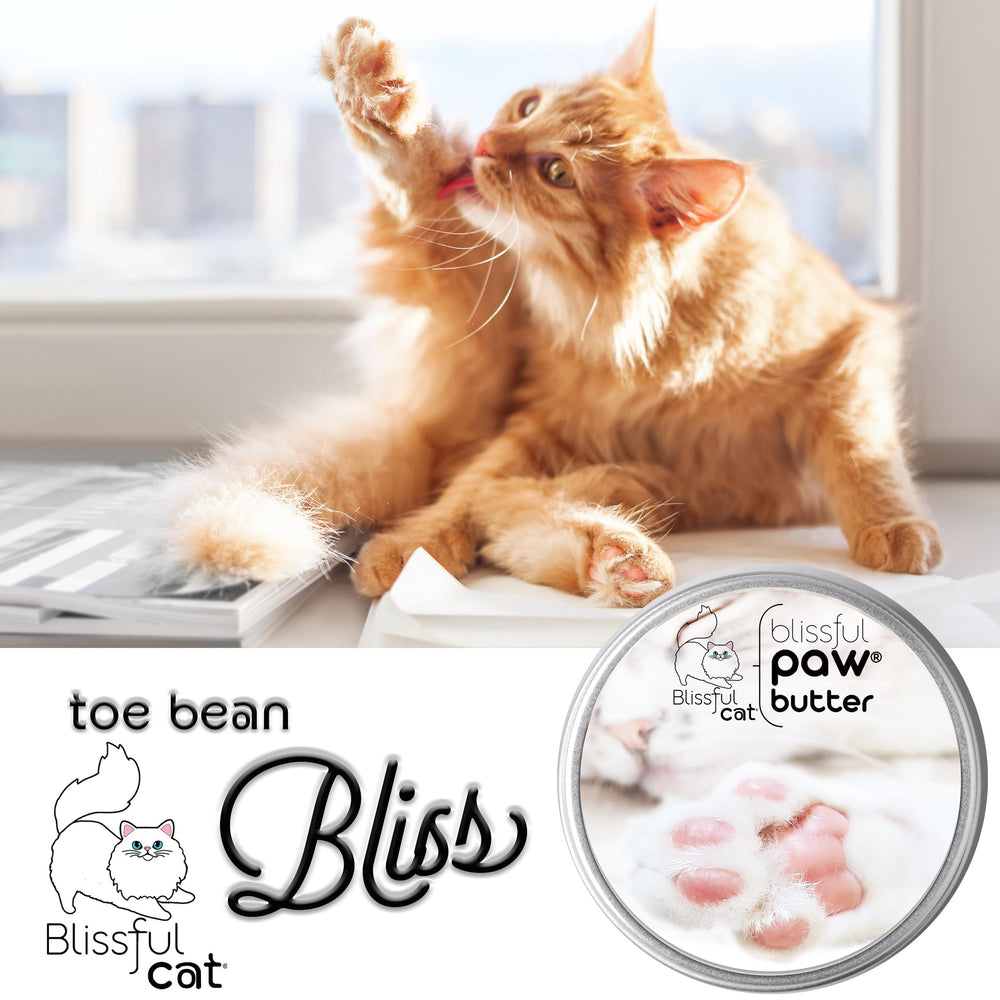 The Blissful Cat Paw Butter - application facile pour patte chat.