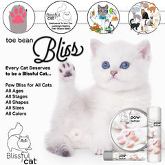 The Blissful Cat Paw Butter - texture crème pour pattes sèches.