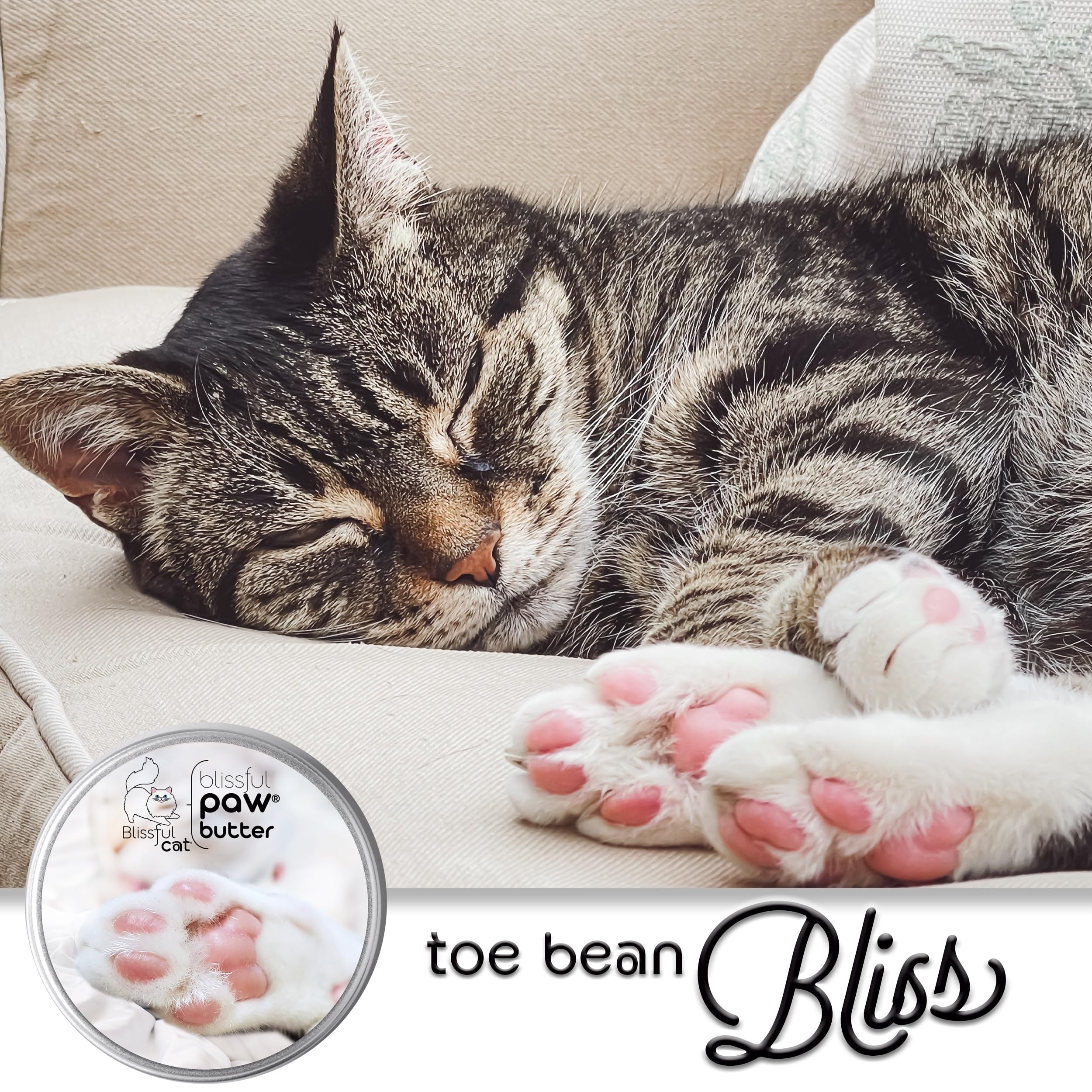 The Blissful Cat Paw Butter - répartition généreuse, moins de réapplications.