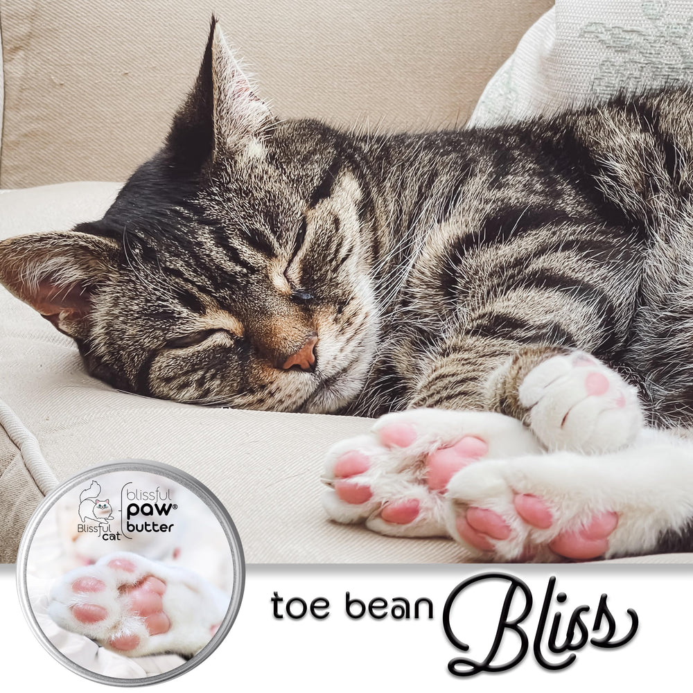The Blissful Cat Paw Butter - répartition généreuse, moins de réapplications.