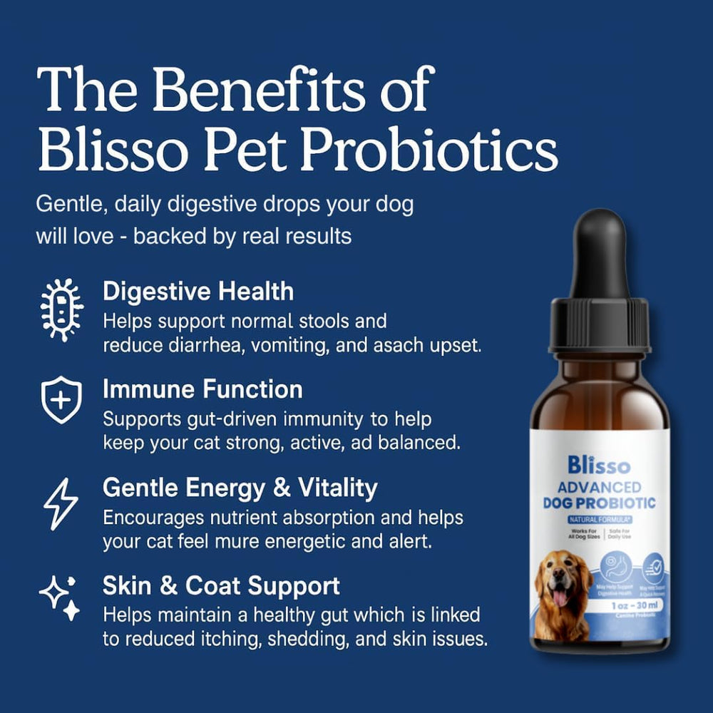 Gouttes Blisso Pet pour chien, faciles à ajouter à la nourriture, soutien digestif.