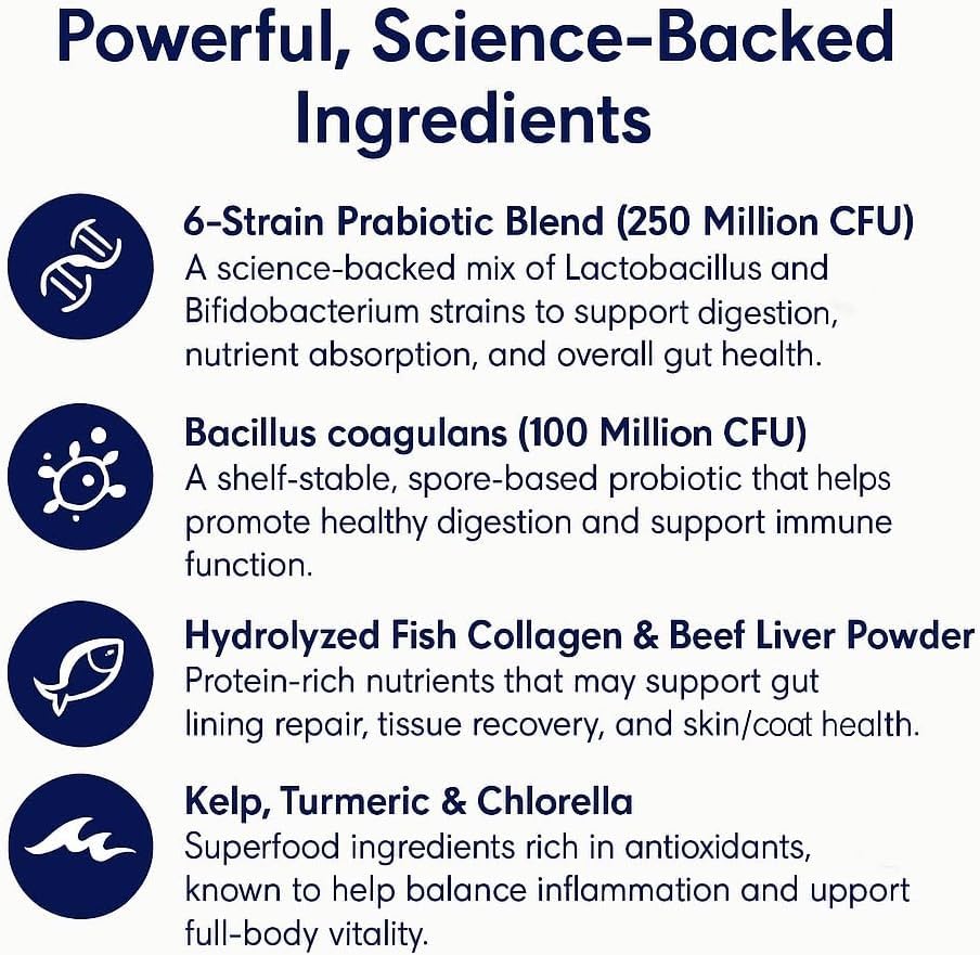 Gouttes Blisso Pet pour chien – renforcent l’immunité et l’équilibre intestinal.