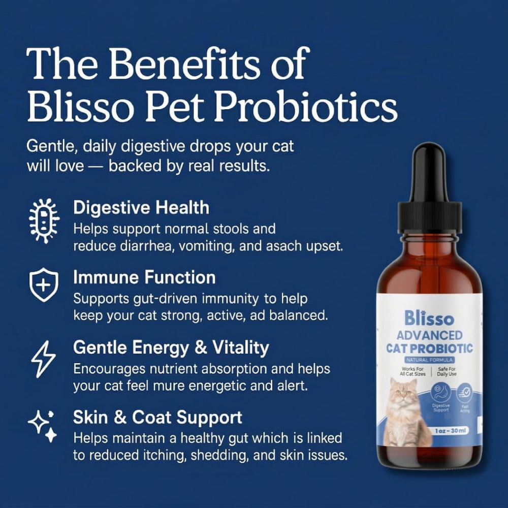Blisso Pet Probiotiques Chat – flacon montrant le lien avec le bien‑etre digestif.