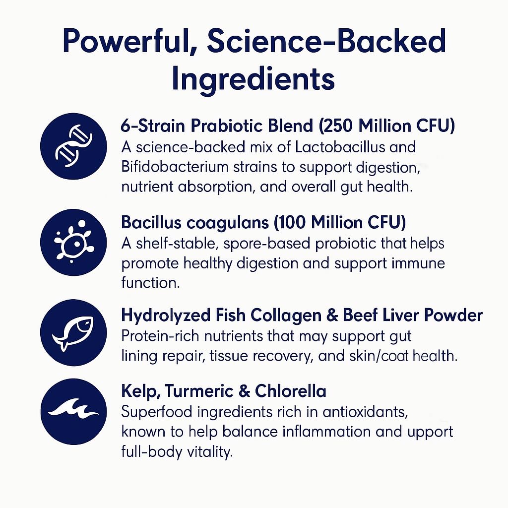 Blisso Pet Probiotiques Chat – flacon utilisé comme soutien immunitaire pour chat.