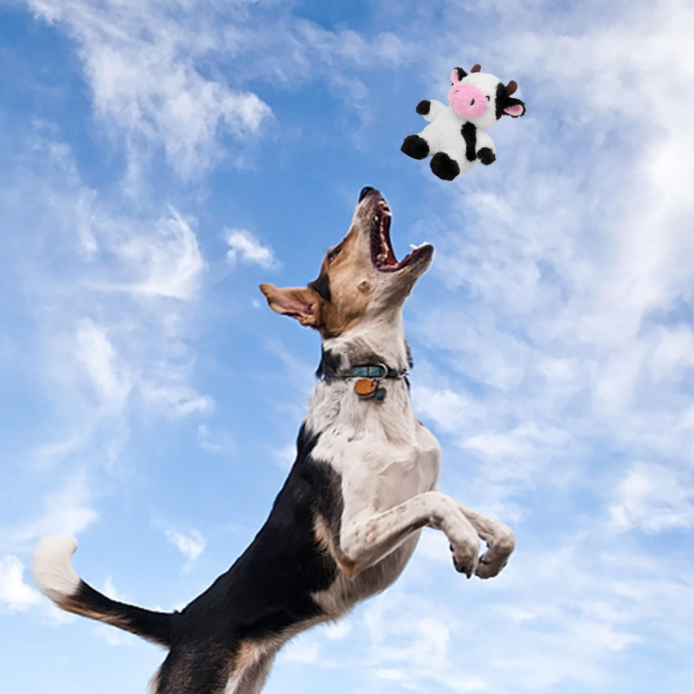 Cadeau parfait Blnboimrun pour chiens, sûr et polyvalent au quotidien.