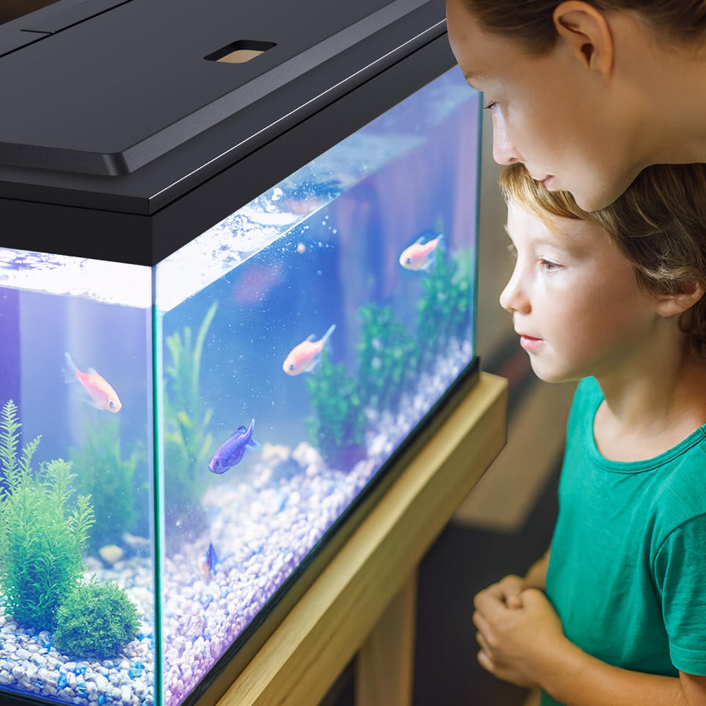 Capot Blosail assure une protection et securite pour enfants et animaux.