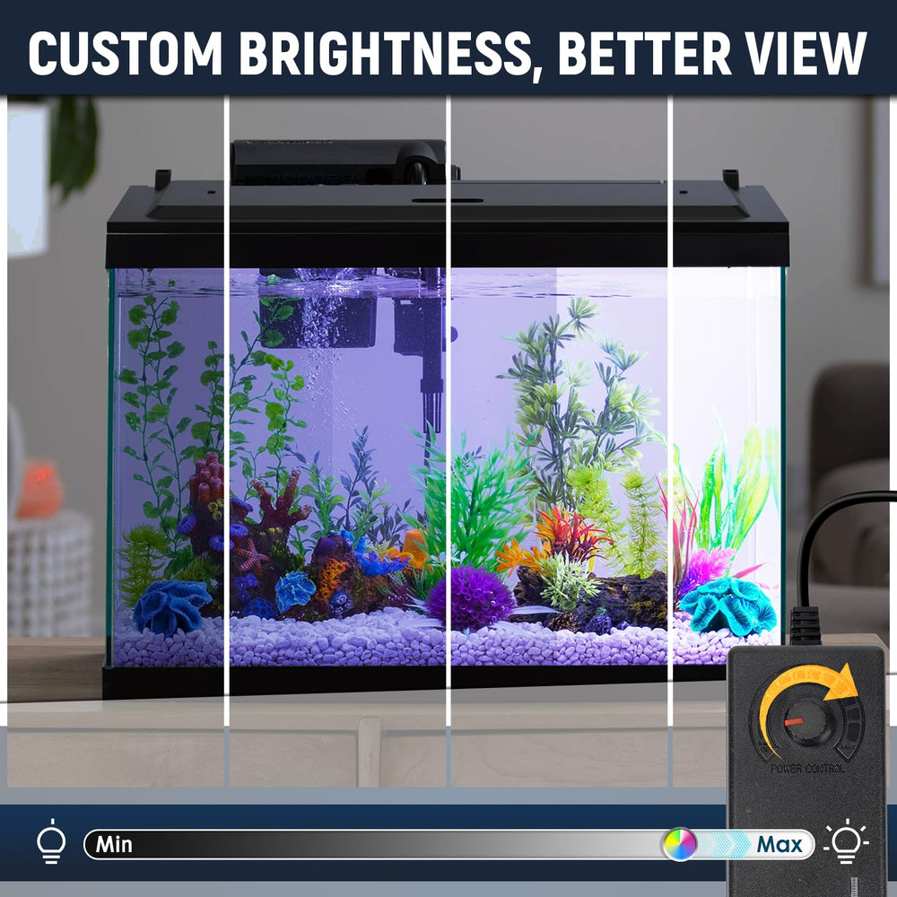 Tubes LED remplaçables pour un rendu lumineux durable