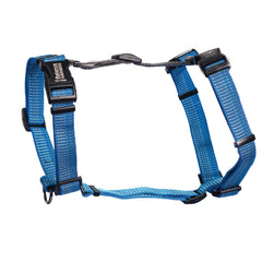 Harnais Blue-9 équilibré vu de face, confort et sécurité lors des promenades.