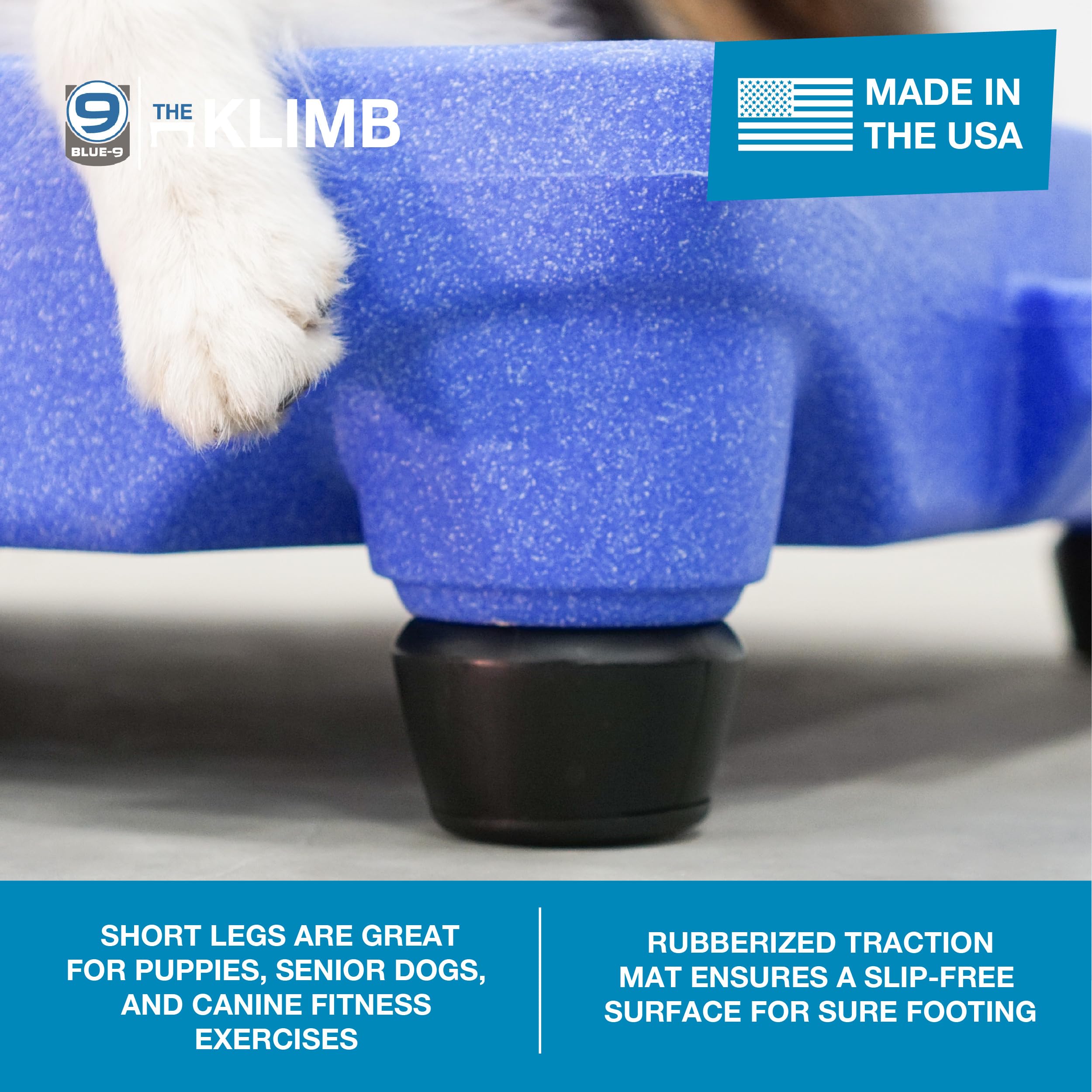 Blue-9 Klimb 6 pouces: pieds surélevés pour chiens de tous âges.