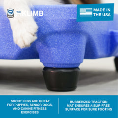 Blue-9 Klimb 6 pouces: pieds surélevés pour chiens de tous âges.
