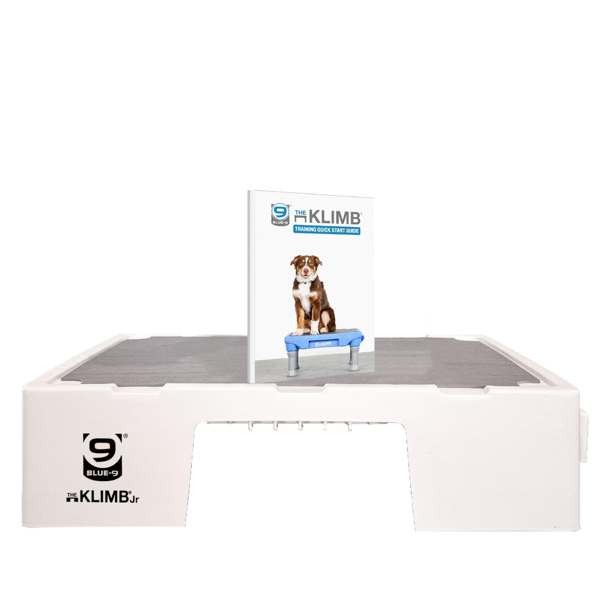 Blue-9 KLIMB Jr, plateforme d’éducation chien, espace sûr pour se concentrer sur les ordres.