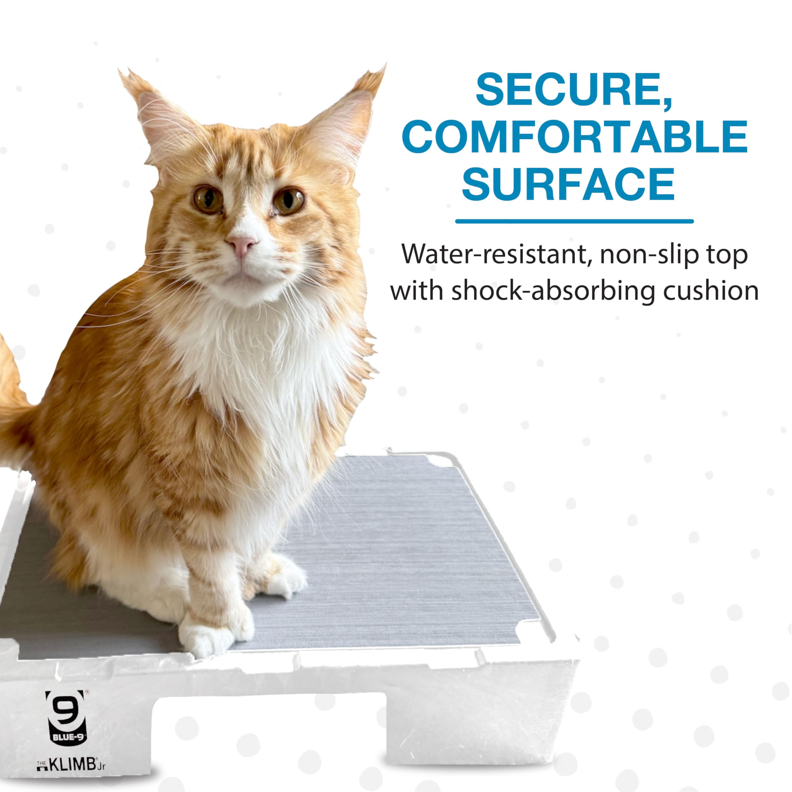Blue-9 KLIMB Jr, plateforme durable, espace d’entraînement pour chiens et chats.