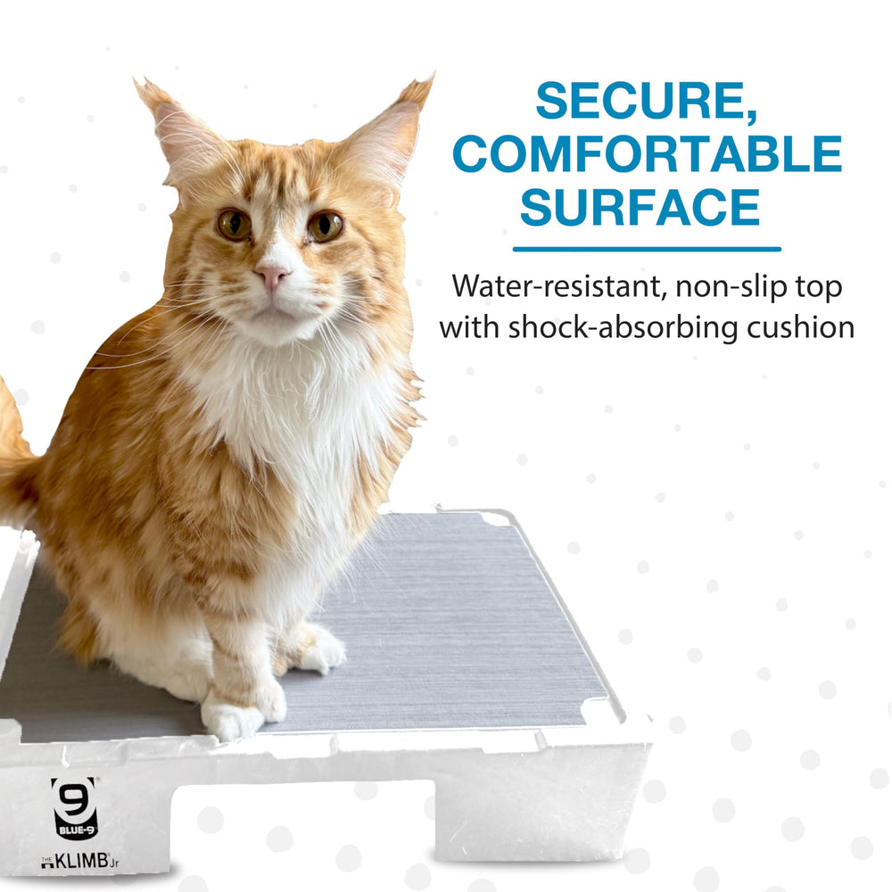 Blue-9 KLIMB Jr, plateforme durable, espace d’entraînement pour chiens et chats.