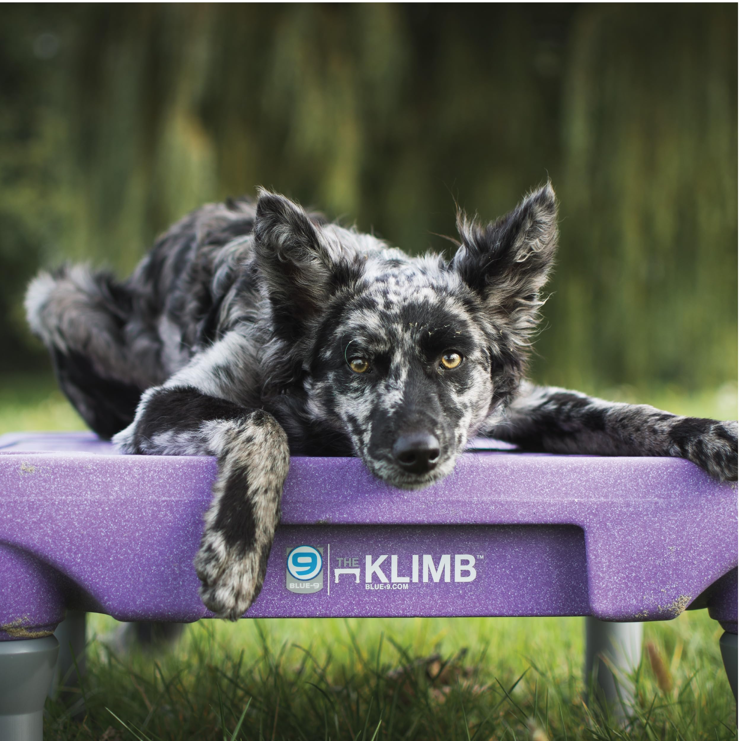 Blue-9 KLIMB, vidéo de formation guidée par clé, pour structurer l’entraînement.