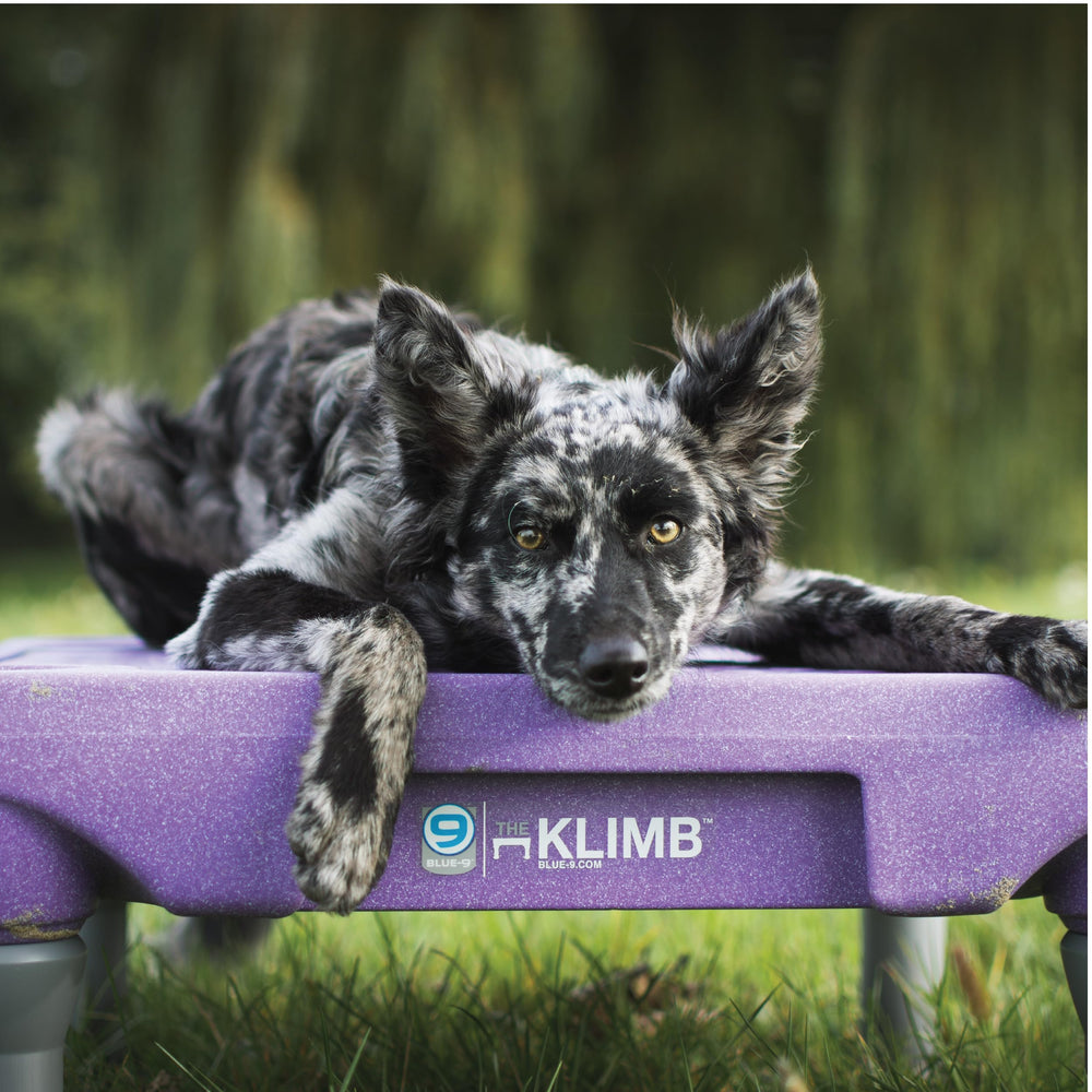 Blue-9 KLIMB, vidéo de formation guidée par clé, pour structurer l’entraînement.
