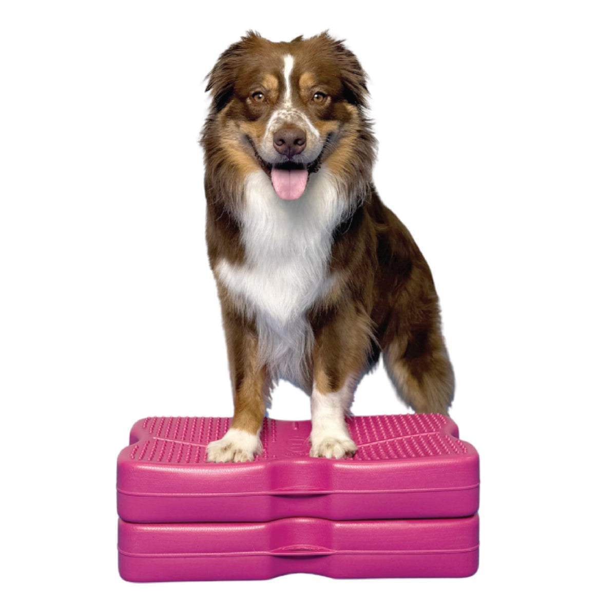 Blue-9 Propel Air : plateforme gonflable avec bulle, favorise l'équilibre et la proprioception.