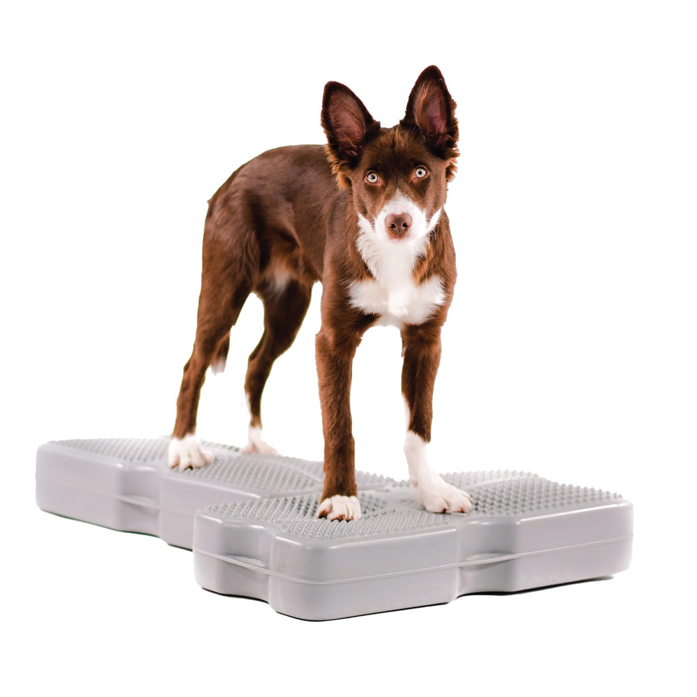 Blue-9 Propel Air Platform: plateforme inflable grise pour l'équilibre et la coordination canins.