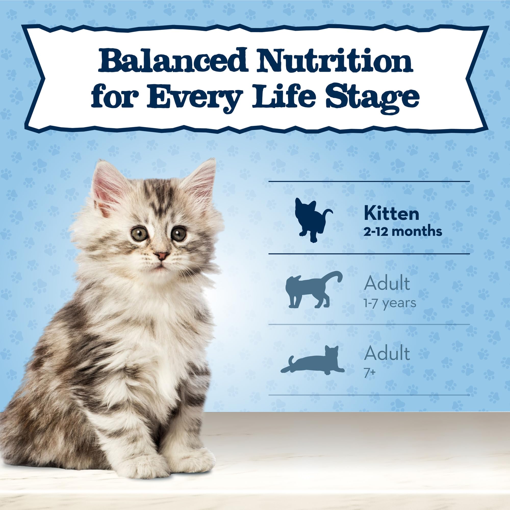 Blue Buffalo Baby BLUE alimentation quotidienne – repas pratique pour le chaton.