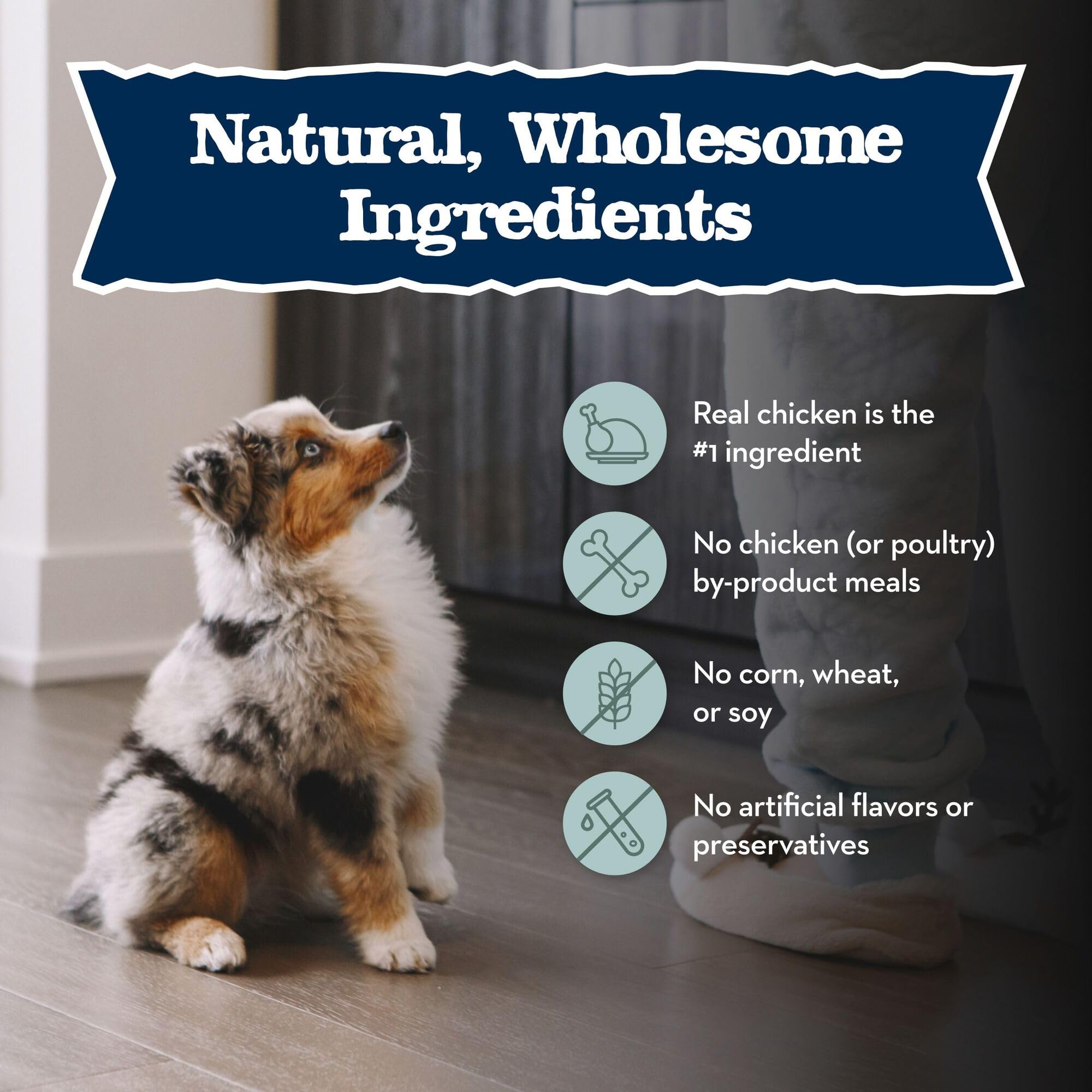 Blue Buffalo Baby BLUE – soutien immunitaire grâce à des nutriments ciblés.