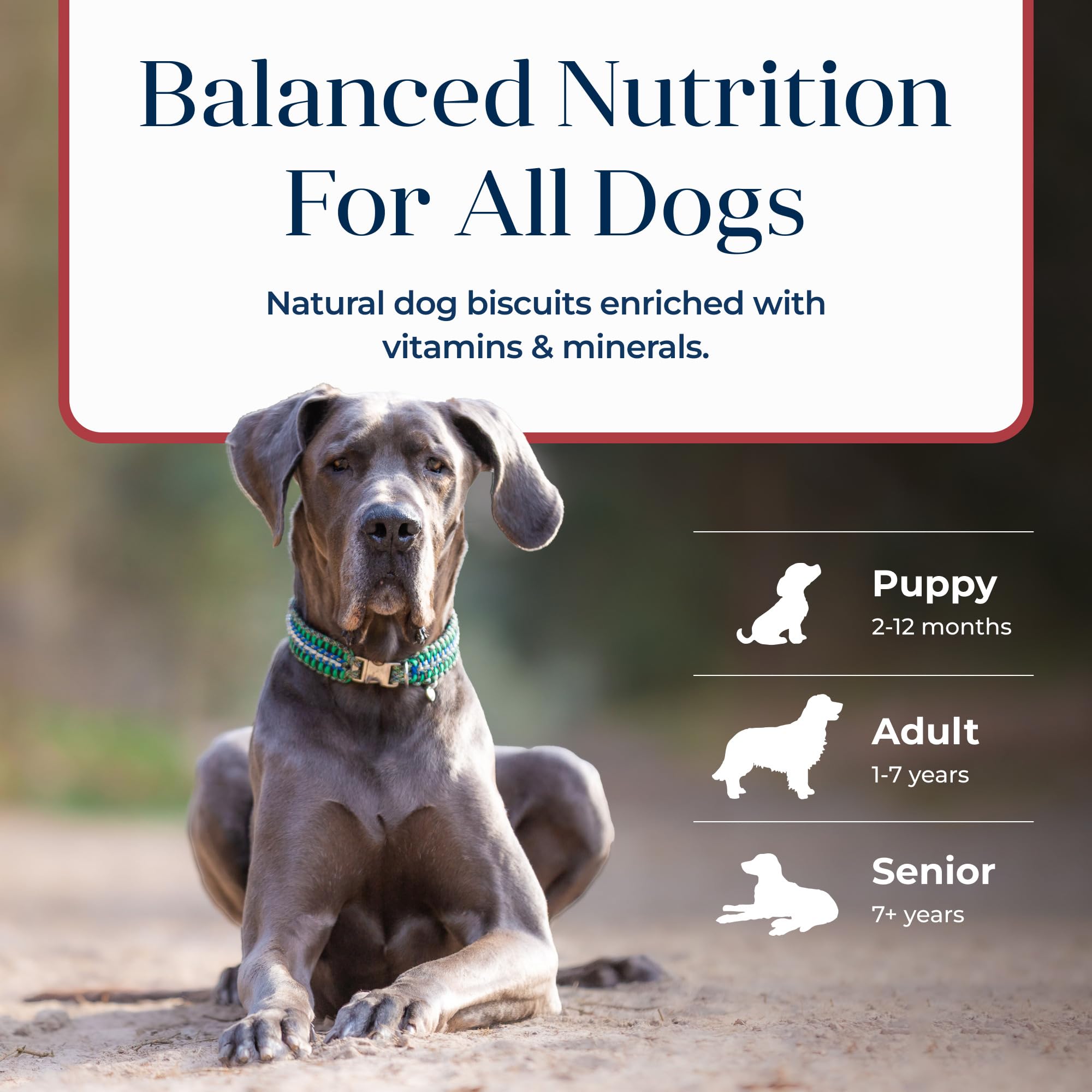 Blue Buffalo Basics convient à toutes les tailles de chiens