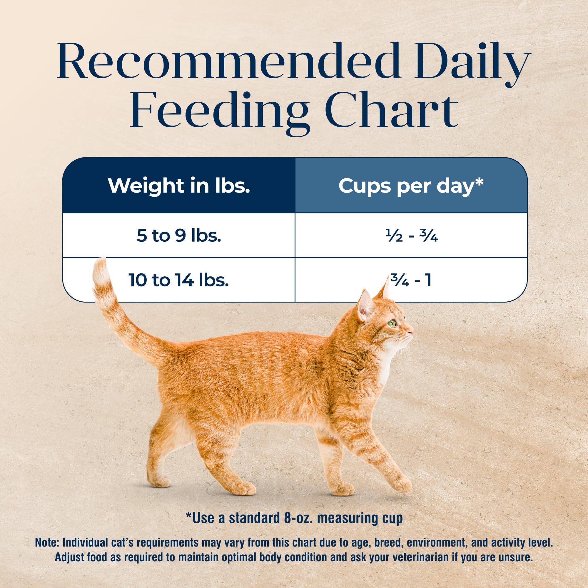 Blue Buffalo Basics – conçu pour les chats d’intérieur