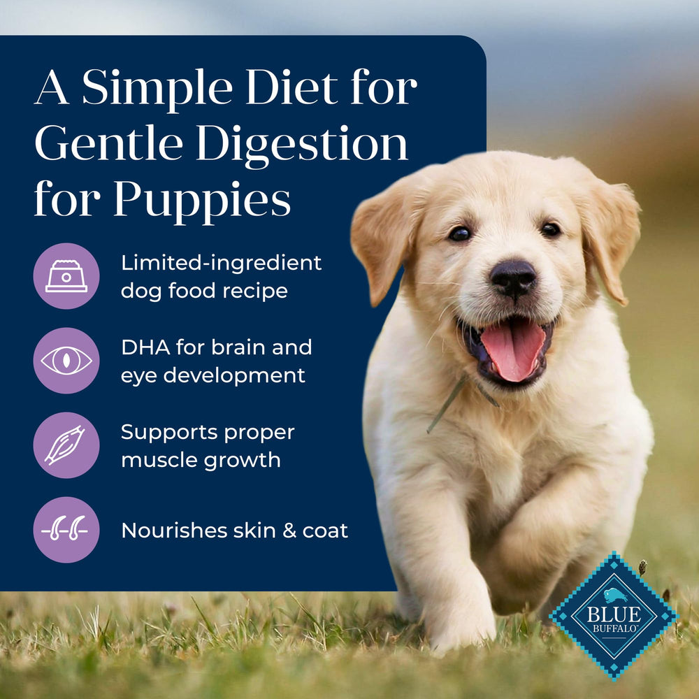 Blue Buffalo Basics Puppy bol avec croquettes et dinde