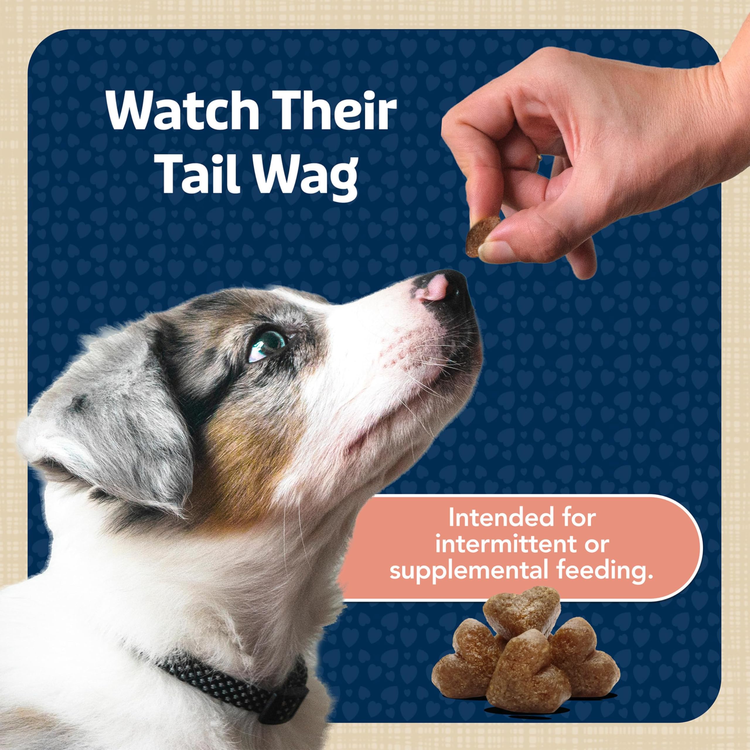 Blue Buffalo Bits Soft-Moist idéal pour chiens adultes: sessions d'entraînement efficaces.