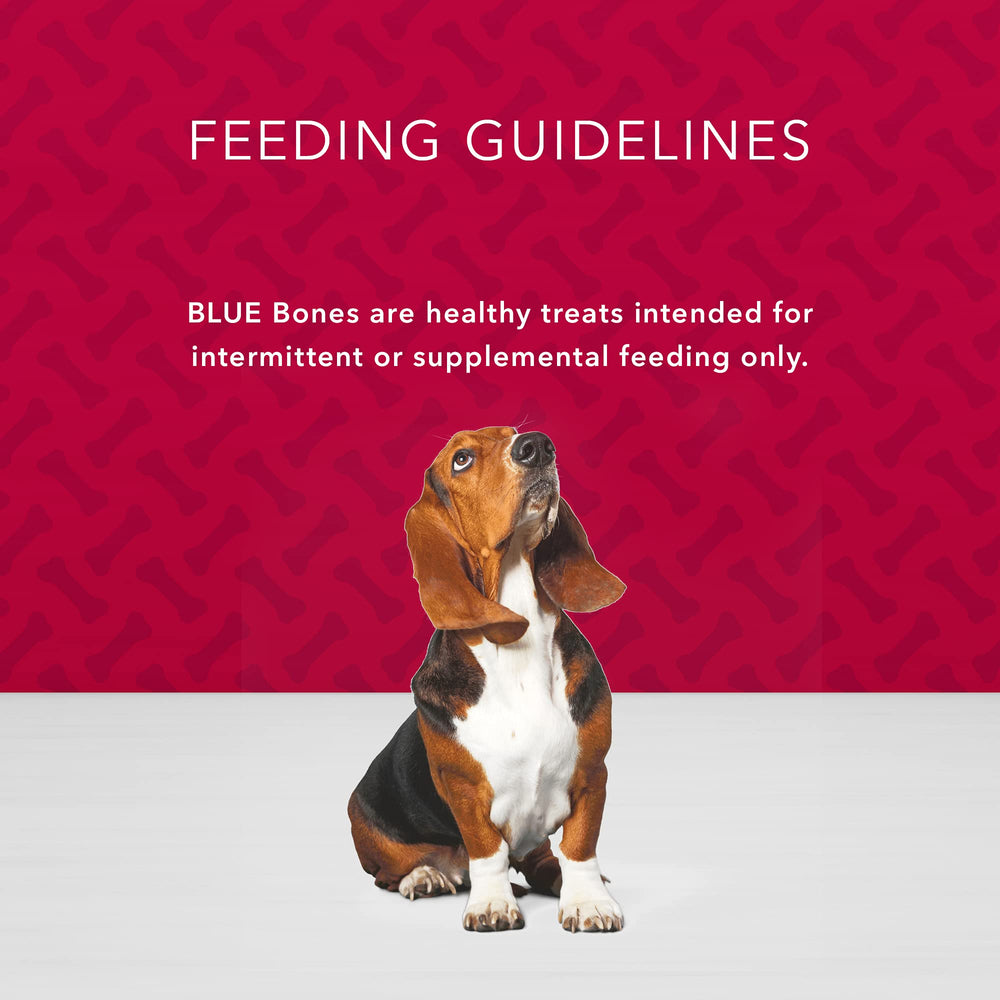 BLUE Bones adapté pour chien de taille moyenne lors des séances de jeu