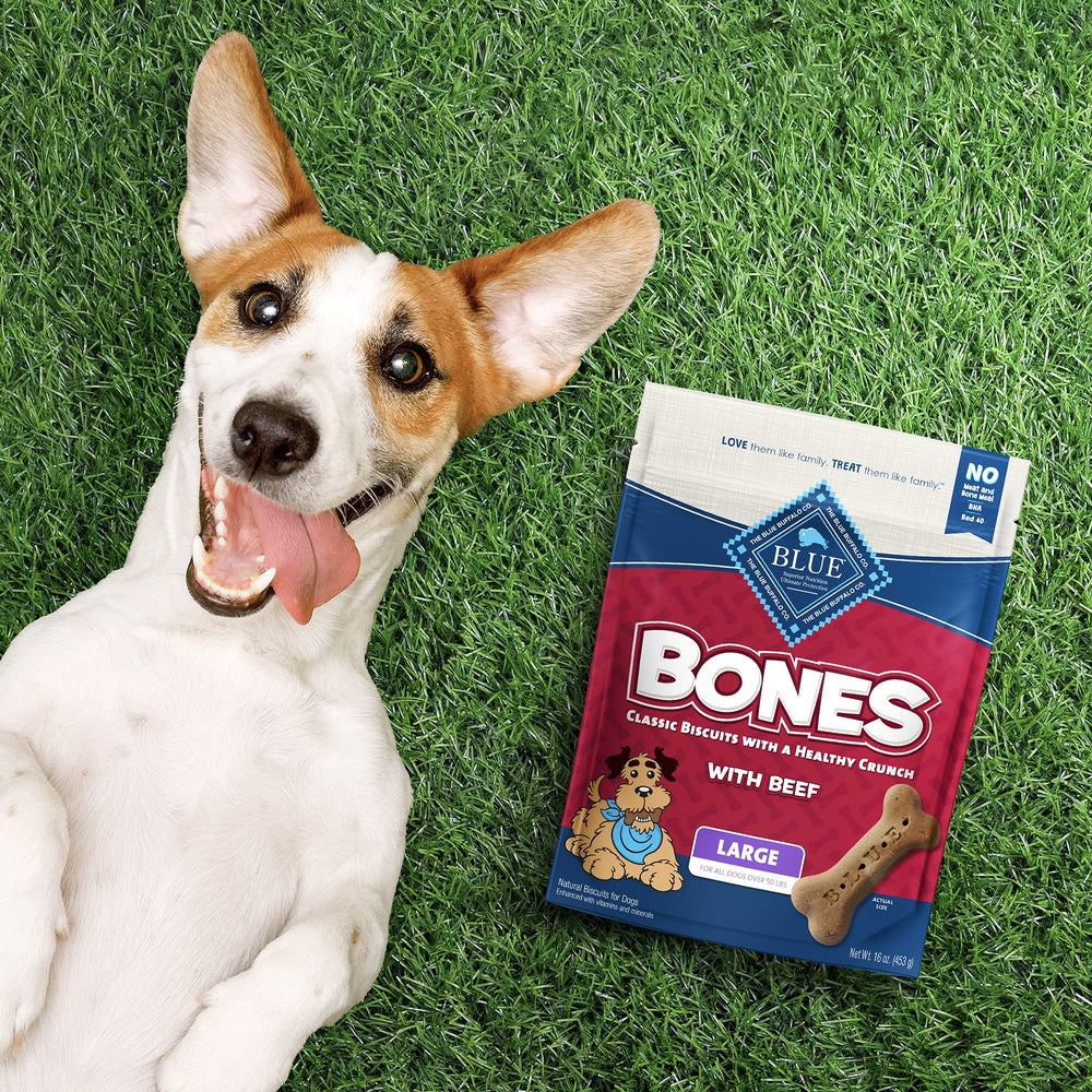 Blue Buffalo Bones – emballage quadruple pratique pour le quotidien.