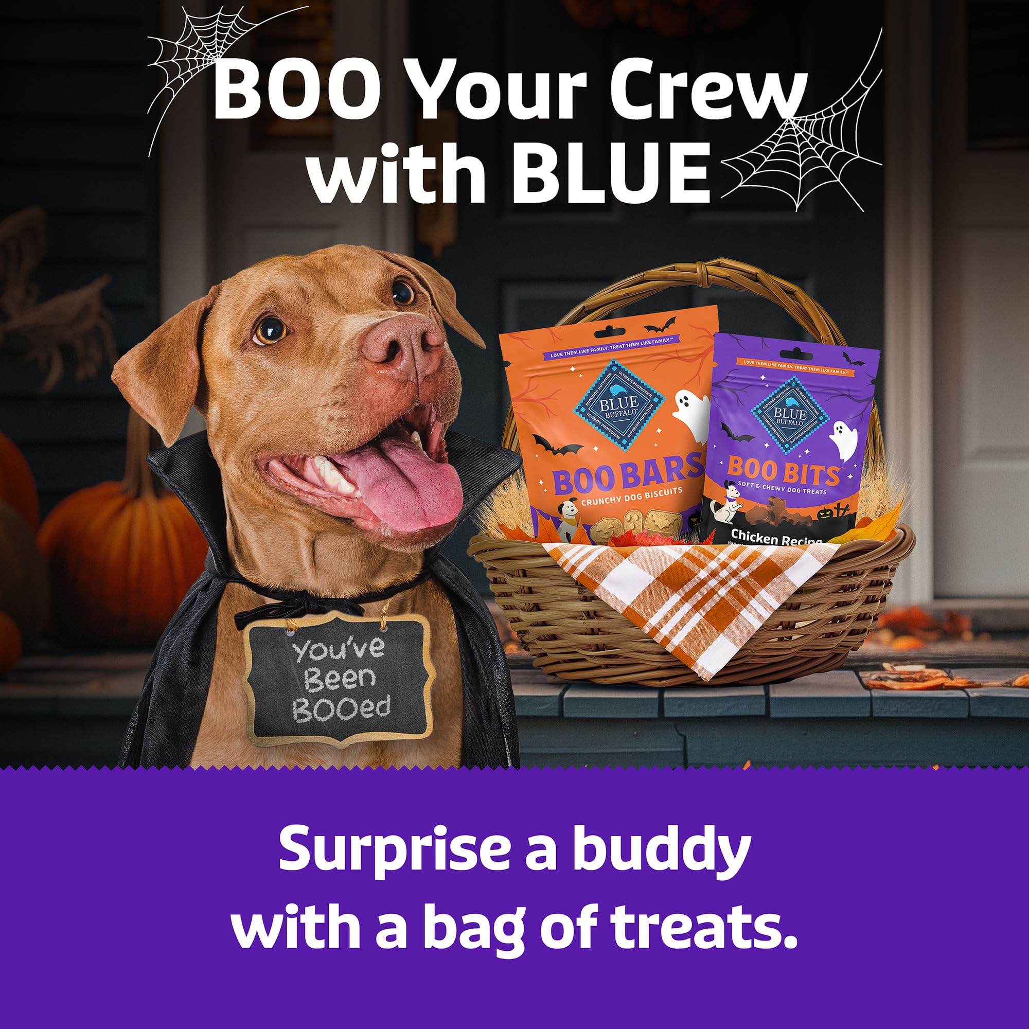 Blue Buffalo Boo Bits adaptées à tous les chiens, y compris les chiots.