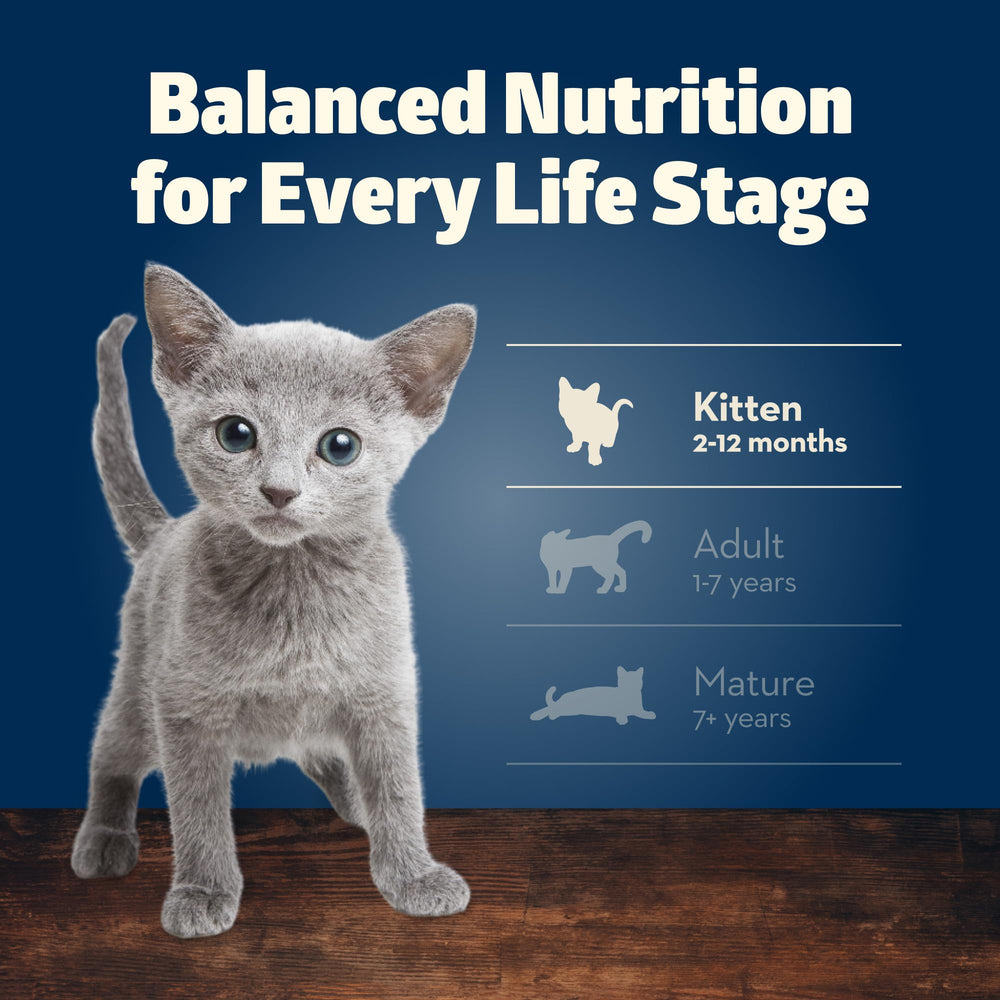 Blue Buffalo Freedom Chaton – pâté au poulet, goût appétissant.