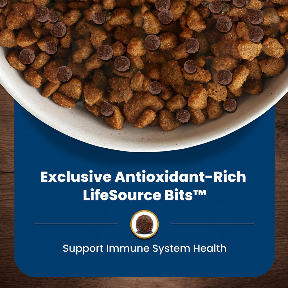 Blue Buffalo croquettes aromatisées poulet – appétence potentielle au quotidien.