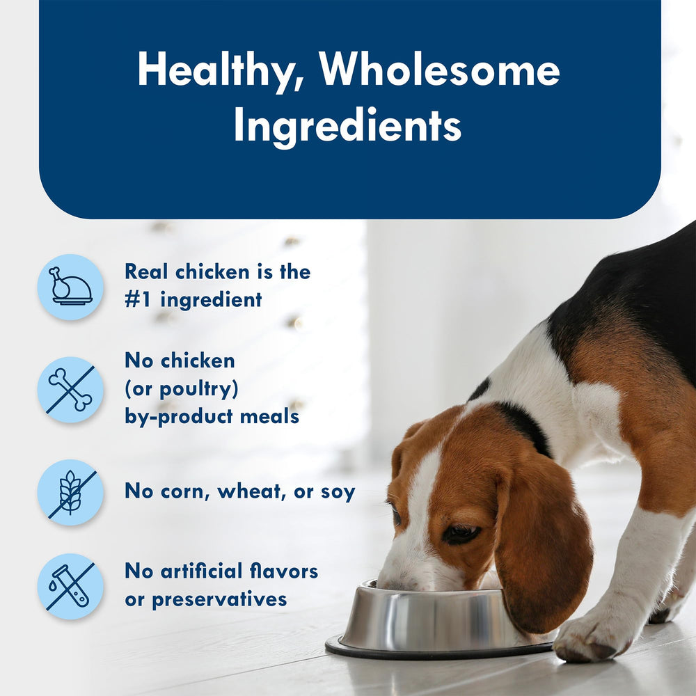 Blue Buffalo Delights: bol chien avec poulet rotisserie, repas appétissant.